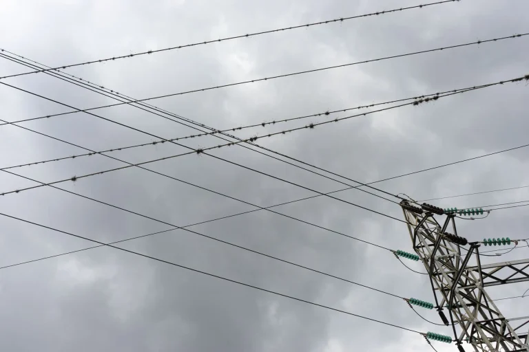 Culminan proyecto de mantenimiento de redes eléctricas mirandinas