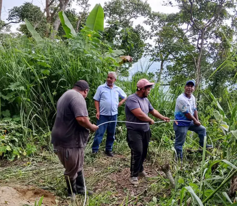 Ejecutan instalación del cable conductor Alvidal para fortalecer el servicio eléctrico en Carayaca