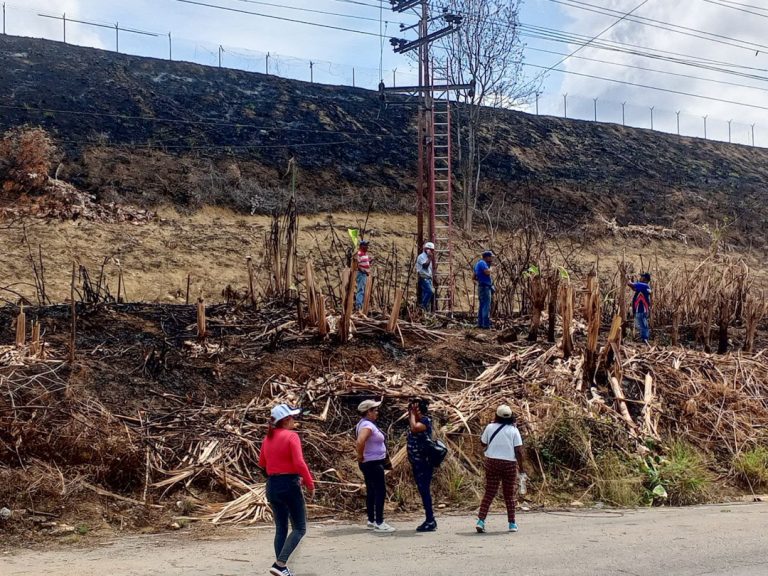 Culminan proyectos de mantenimiento en redes eléctricas mirandinas