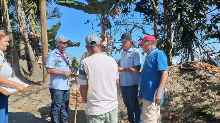 Supervisan espacios de comuna en La Guaira para ejecutar proyecto de electricidad
