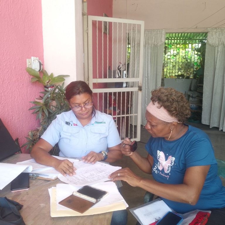 Ejecutan Diagnóstico Comunitario en Aragua