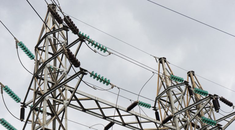 Renuevan vocerías de MTE en Aragua