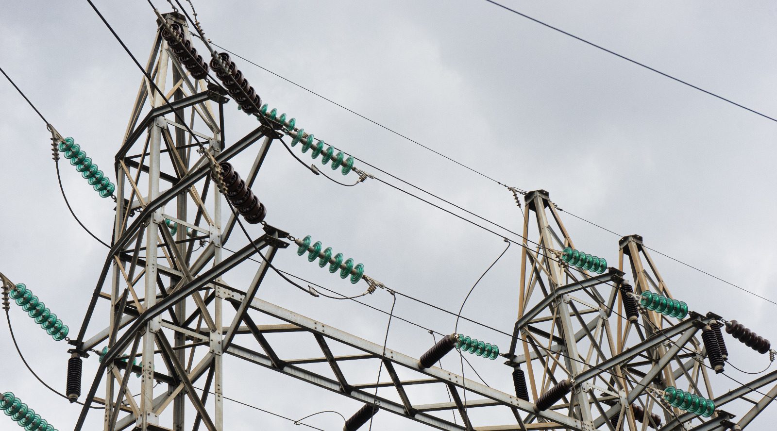 Renuevan vocerías de MTE en Aragua