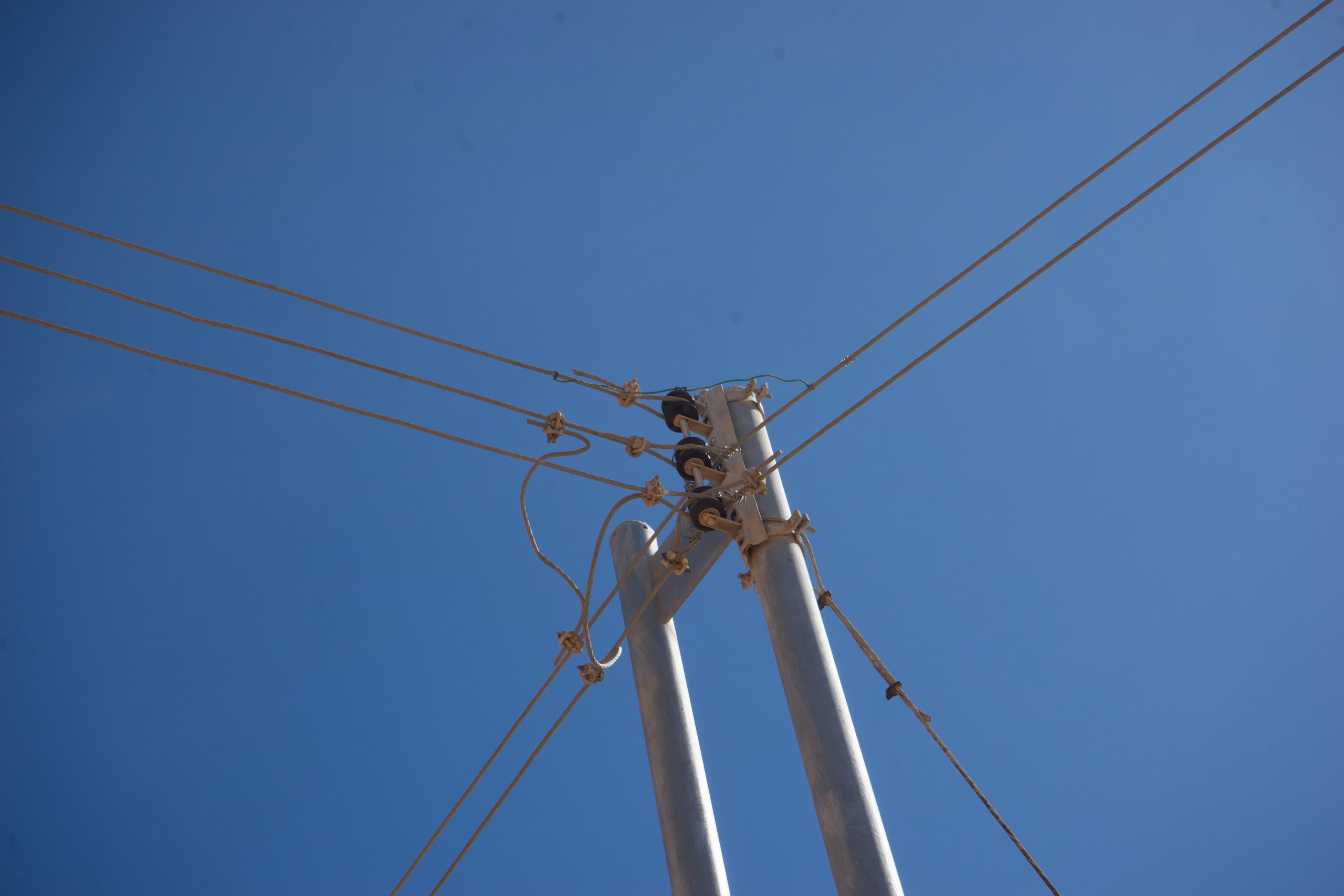 Renovación y registro de MTE en Aragua