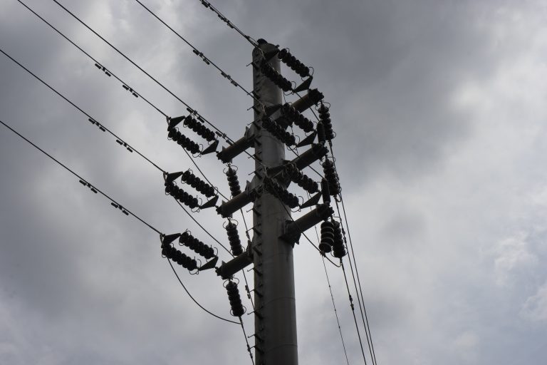 Registro y formación de MTE en Miranda