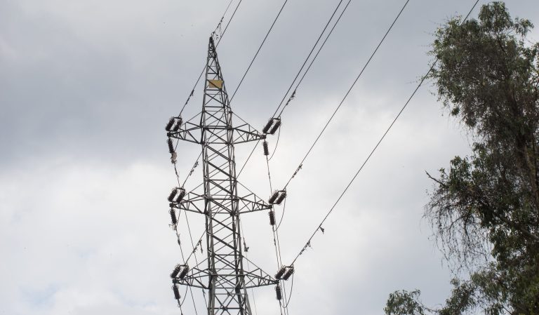 Registran vocerías de MTE en Cojedes