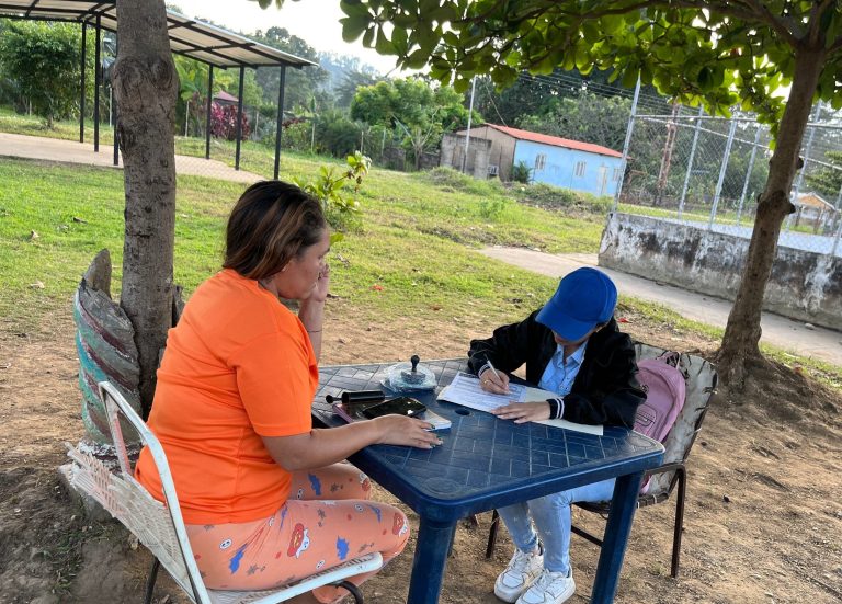 Conforman MTE en comunidad organizada del estado Cojedes