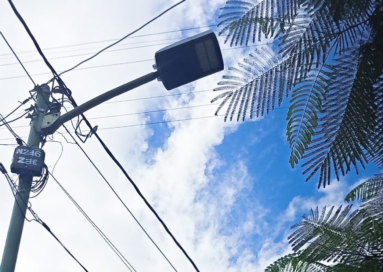 Diagnostican tendido eléctrico en comunidades organizadas de La Guaira