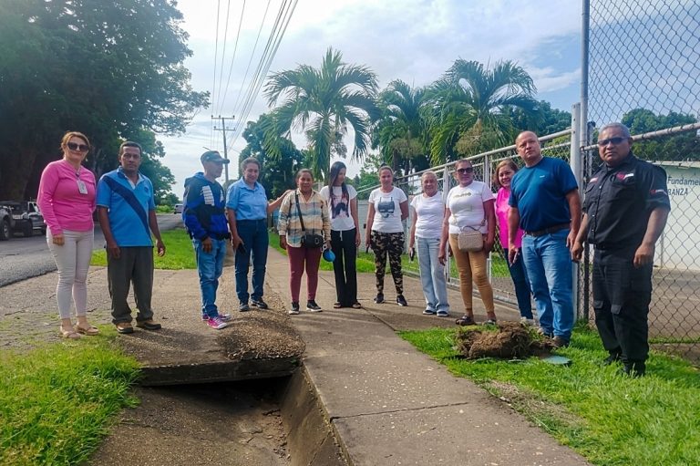 Impulsan proyectos eléctricos comunitarios en Chaguaramal